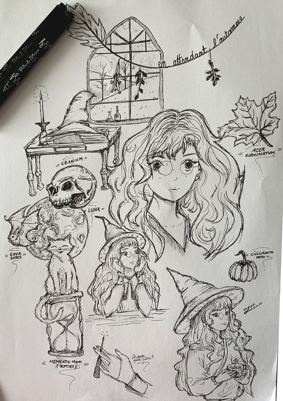 En attendant l'automne..., par Zukki