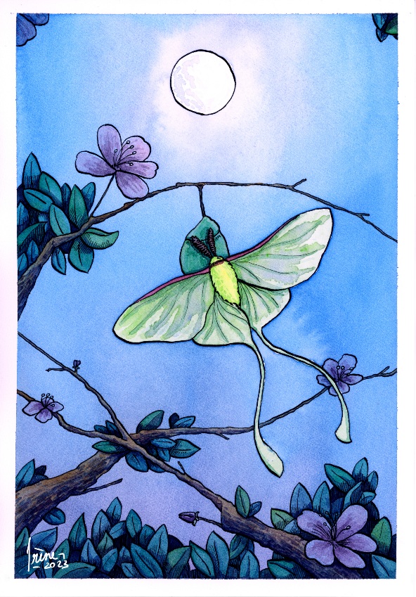 Naissance, par Galad-El