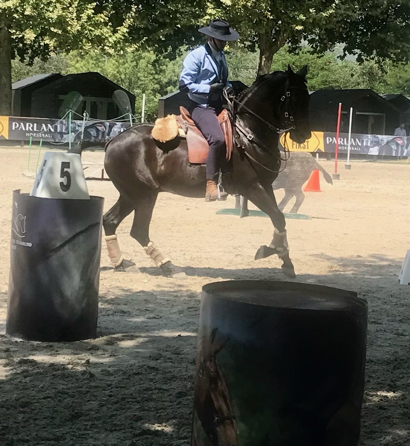 Équitation espagnol, par Saso