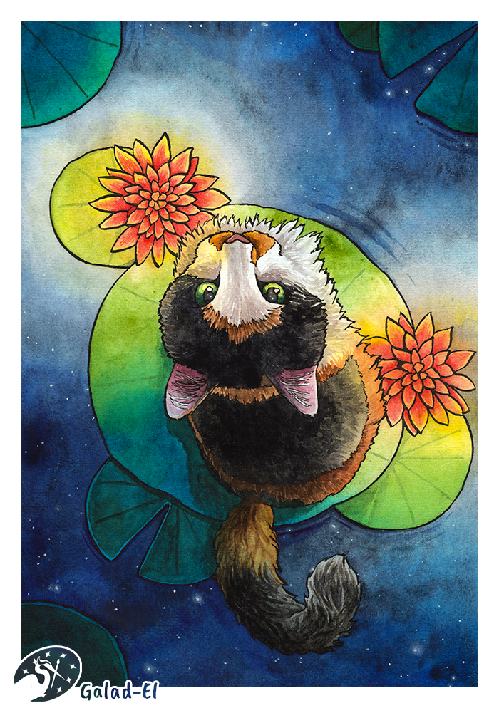 Je contemple les étoiles, par Galad-El