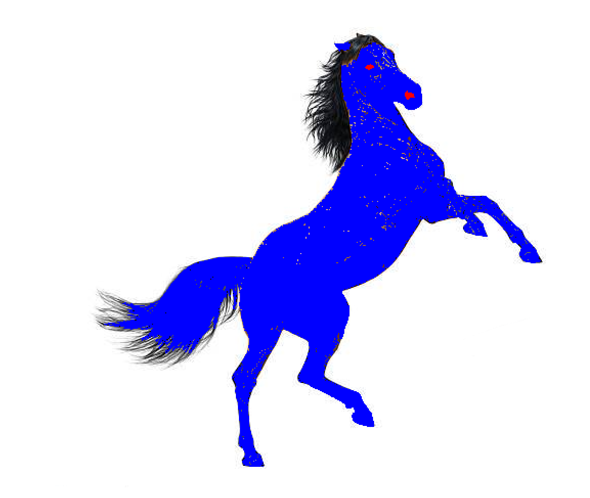 cheval, par plume rousse