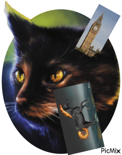 Du n’importe quoi !, par plume rousse