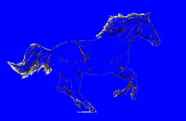 entrainement p7 cheval, par plume rousse