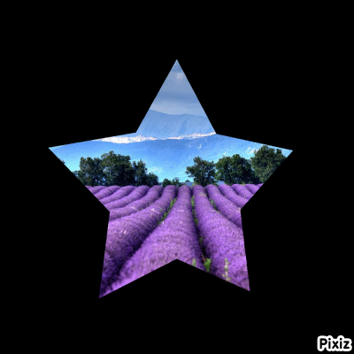 Lavande du suuuuud !, par plume rousse