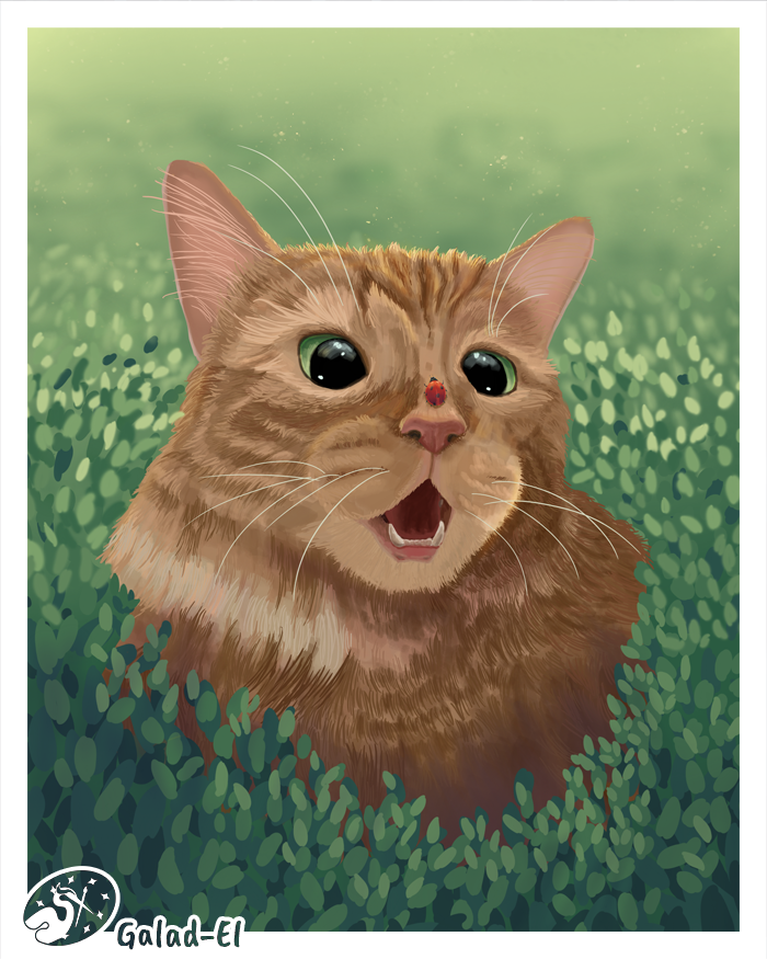 Chapristi!, par Galad-El