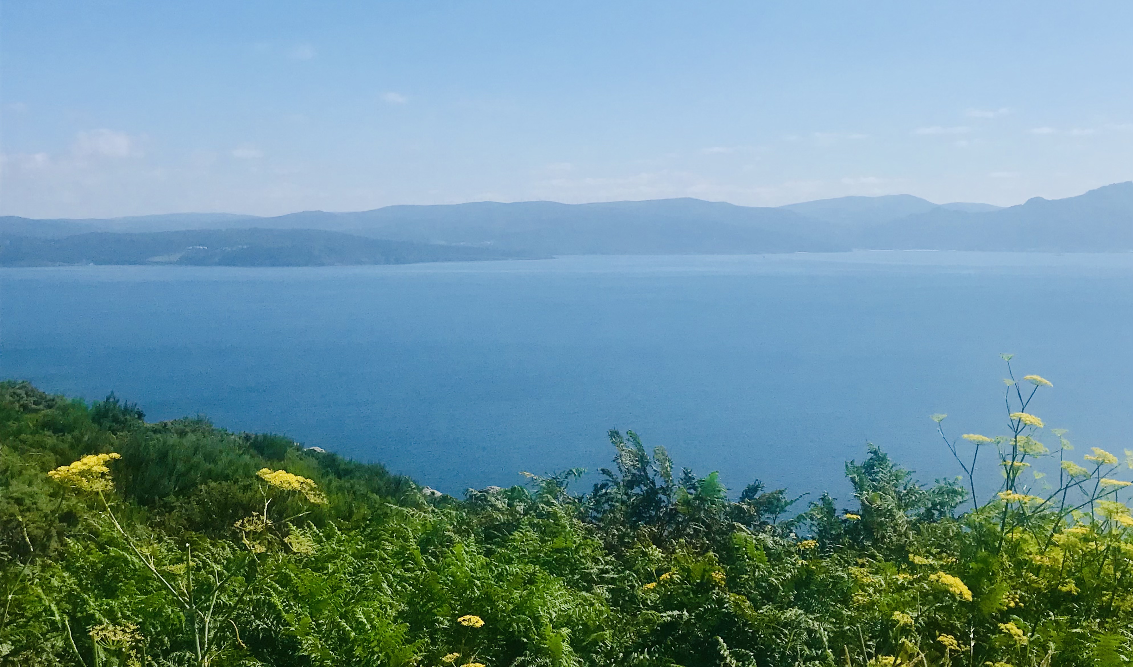 Quelque part au Portugal, par Saso