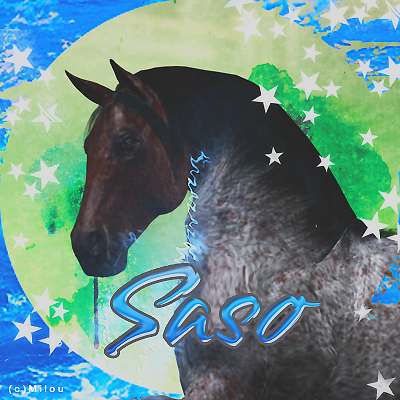 Cadeau de Noël Saso, par Milou