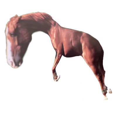 Hum hum, par Étoile de Foudre