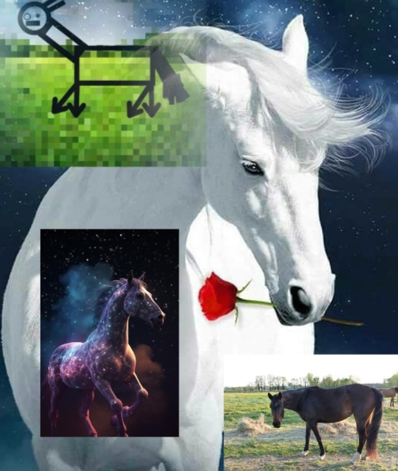 Cheval lunaire, par plume rousse