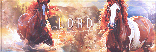 Kdo pour Lord, par Fraisy Sarcasm