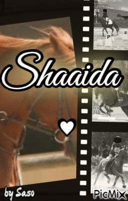 Cover : Shaaida, par Saso