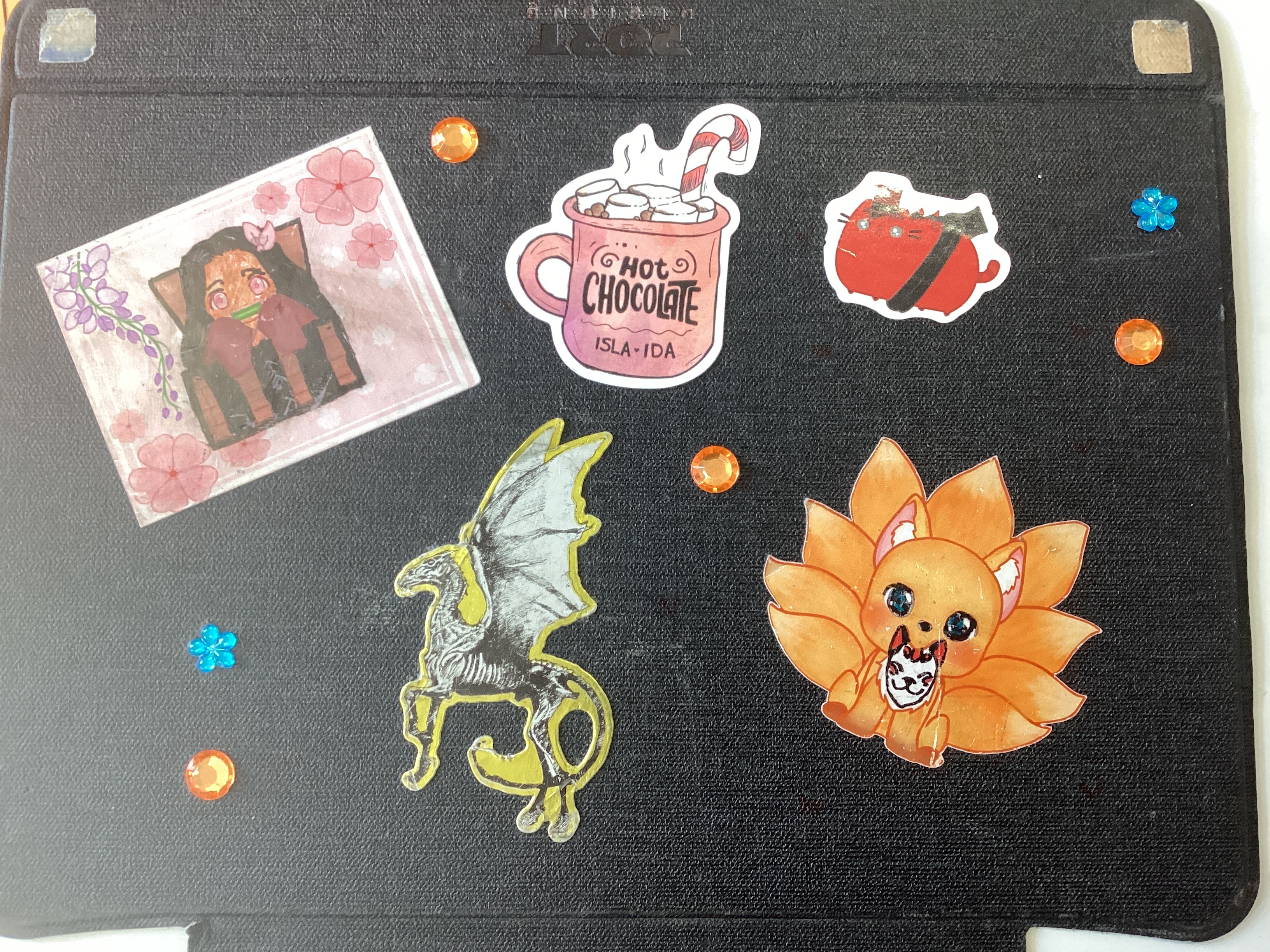 Coque d’Ipad, par Tempête d’automne