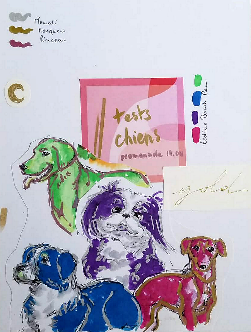 Tests chiens, par Milou