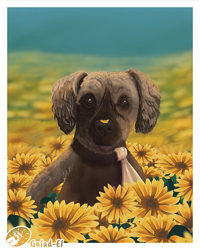 Tournesols, par Galad-El