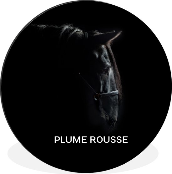 Ancien avatar, par plume rousse