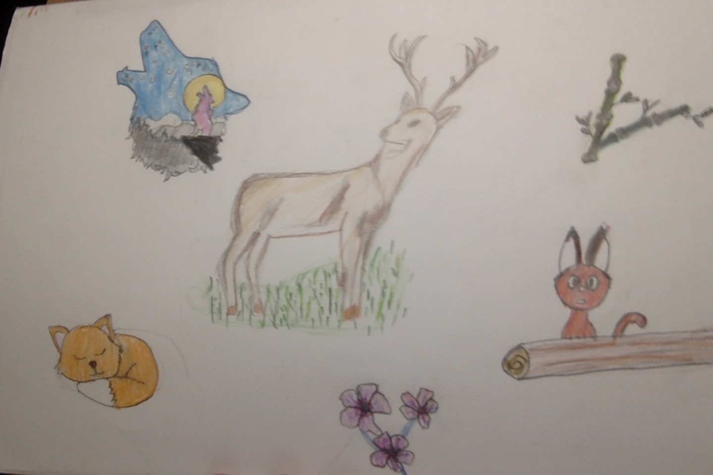 Clairière multi-environnement, par Saso