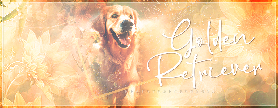 Participation Instant Fight 02, par Fraisy Sarcasm