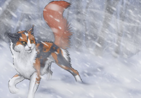 plume rousse fond, par plume rousse