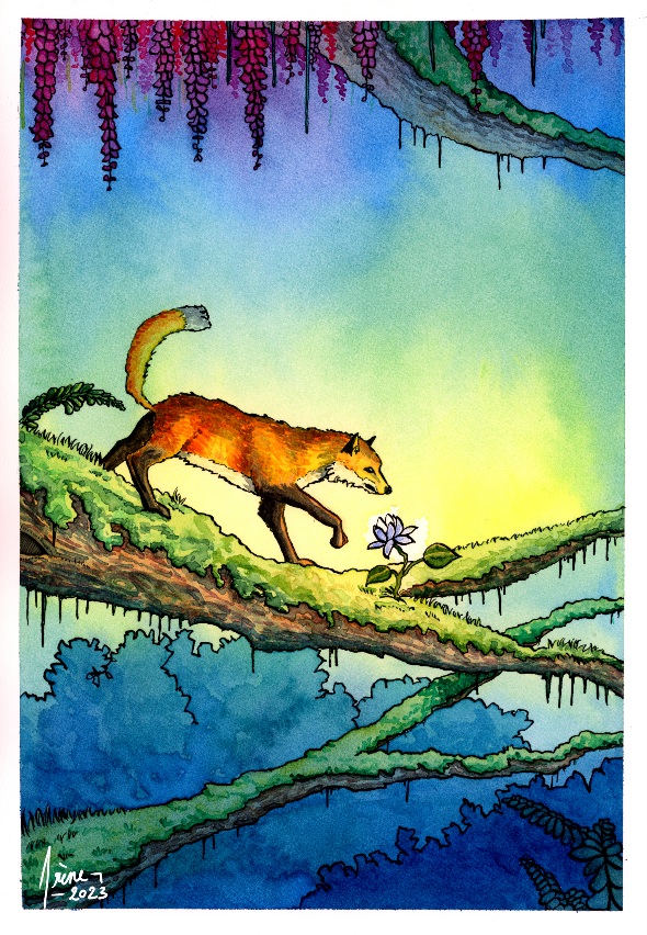 DTIYS de get.muse, par Galad-El