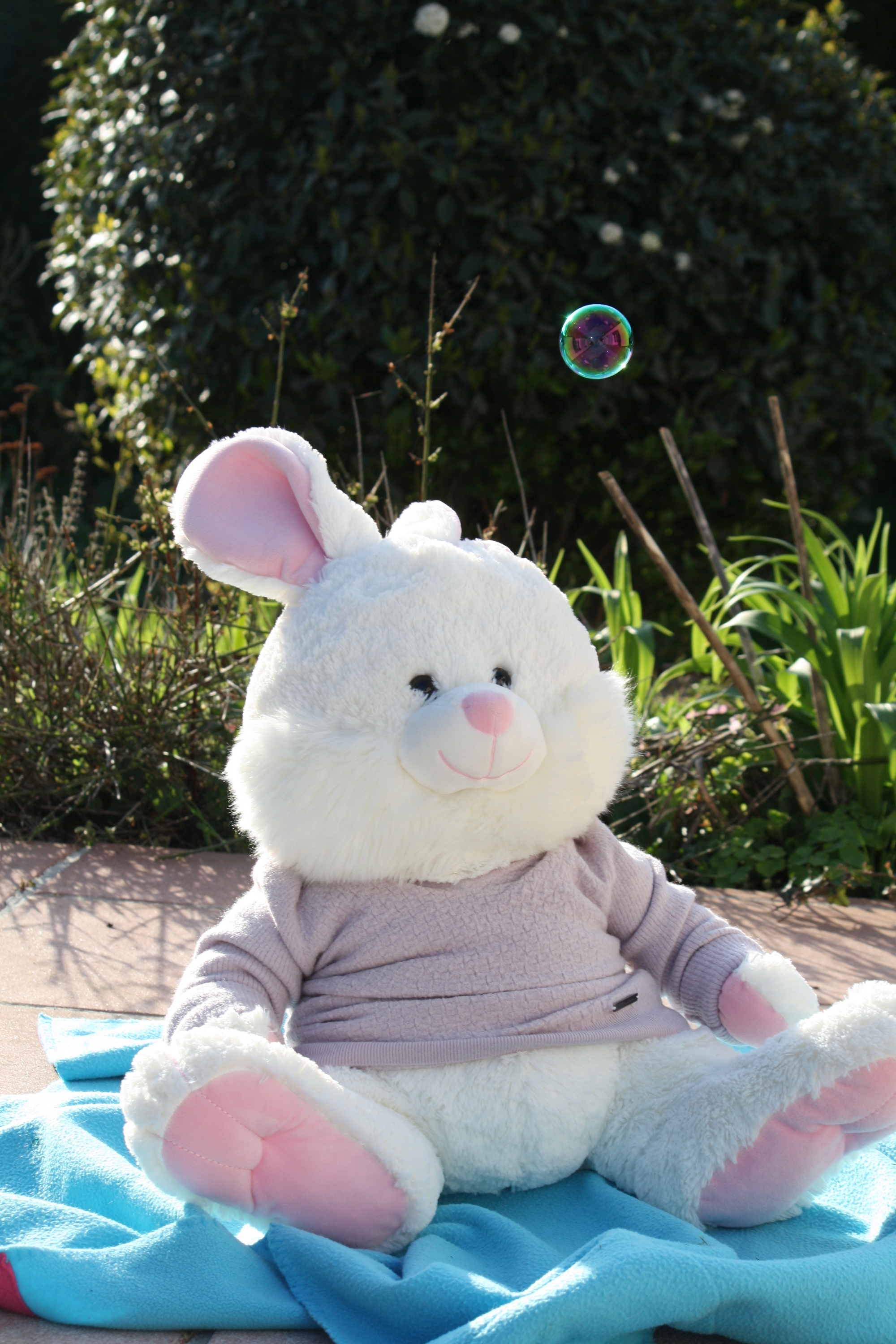 Litchi est dans sa bulle, par Zukki