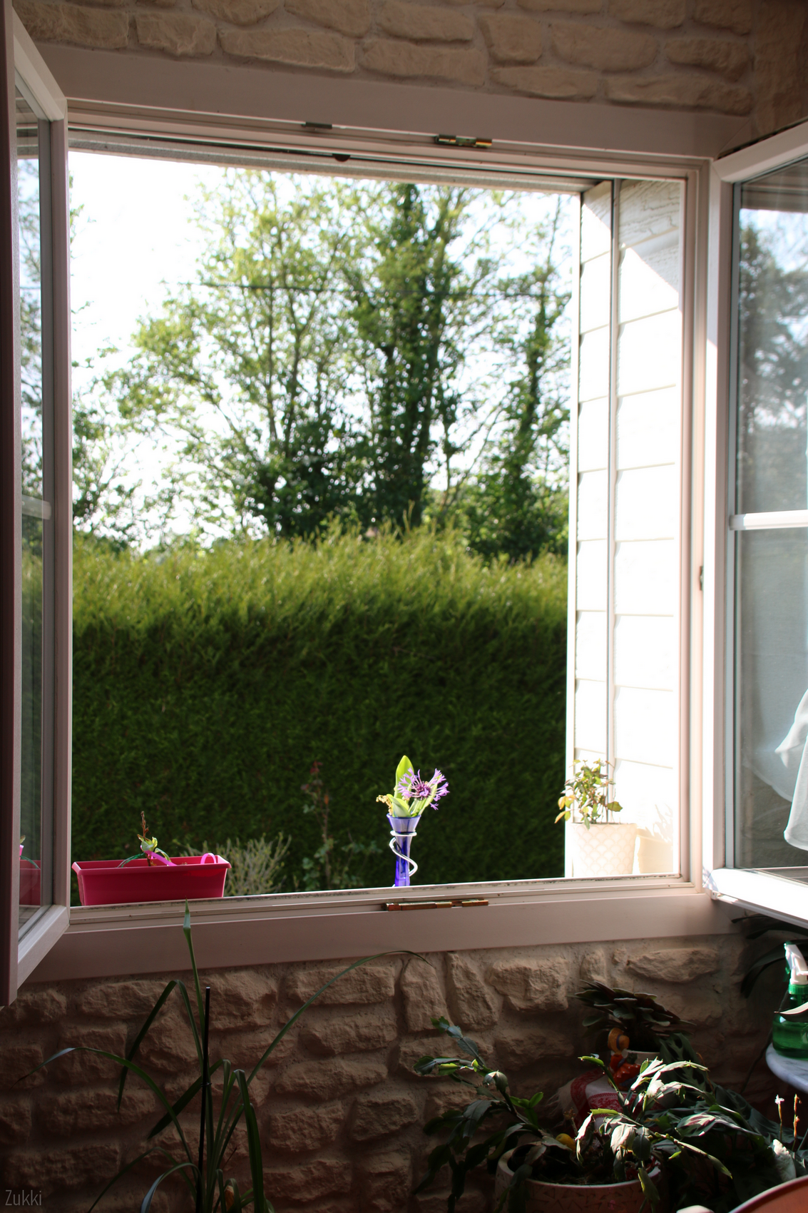 A travers la fenêtre, par Zukki