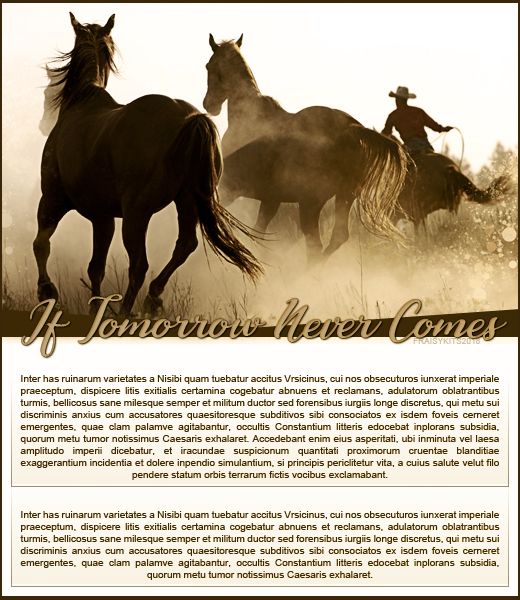 Fiche If tomorrow never comes, par Fraisy Sarcasm