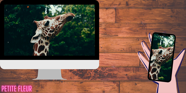 Images reliées, par Petite Fleur