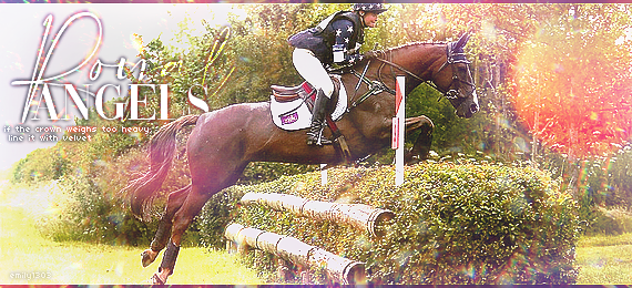 Irish hunter, par emily1303