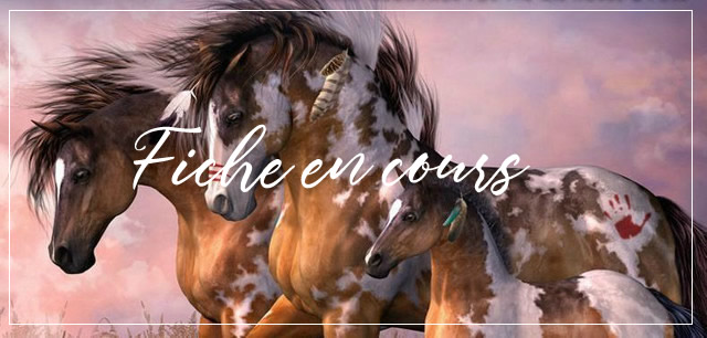 Logique c'est en cours, par Invoqueuse