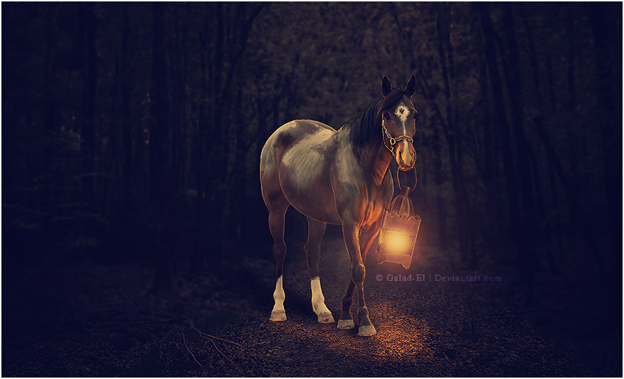 Je cherche un homme, par Galad-El