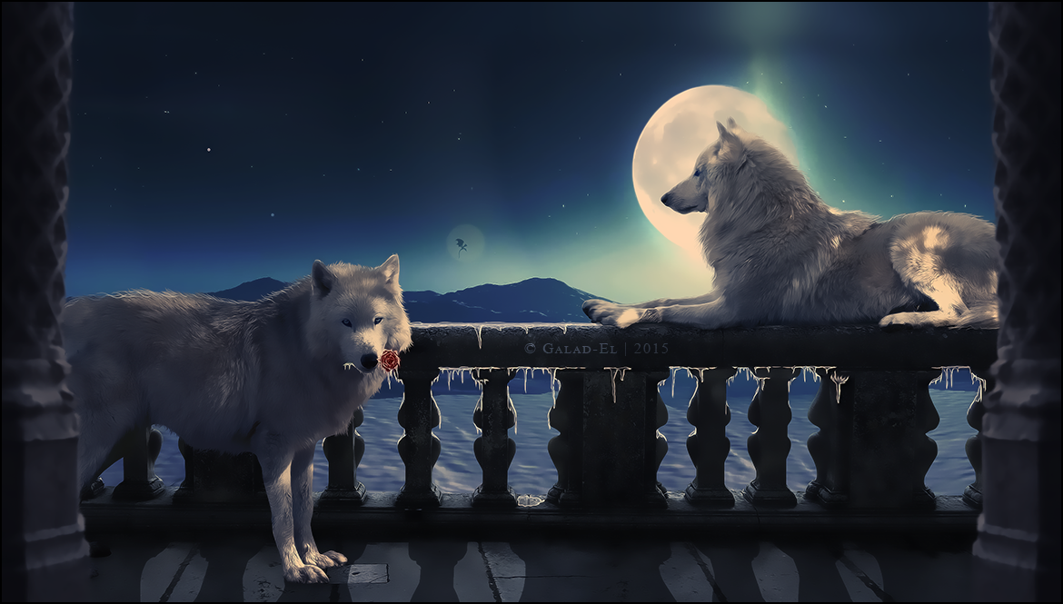 Je t'apporte l'hiver, par Galad-El