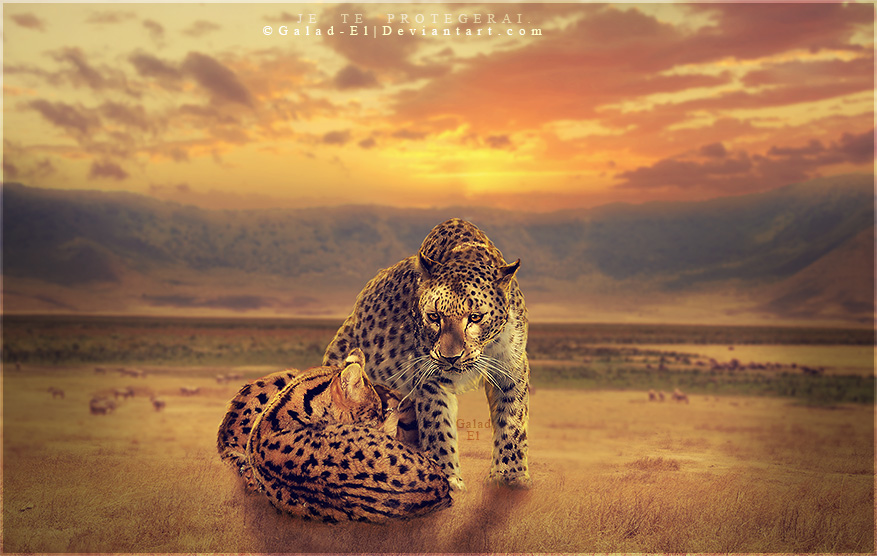 Je te protègerai, par Galad-El