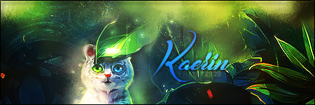 Cadeau Kaerin, par Fraisy Sarcasm