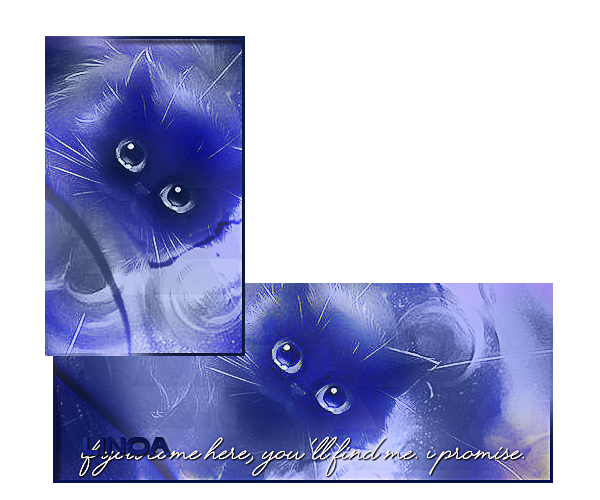 Kit pour Linoa, par Ayfoth