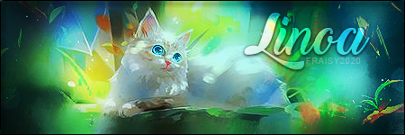 Cadeau Linoa, par Fraisy Sarcasm