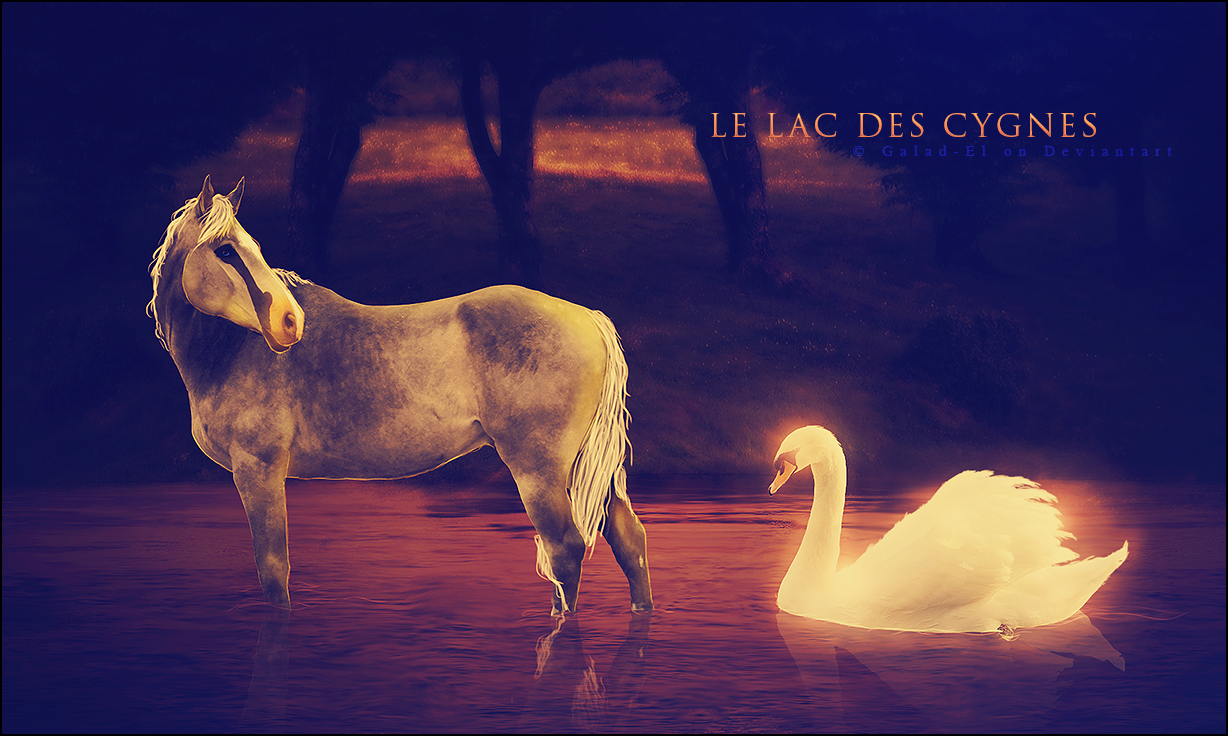 Le Lac des Cygnes, par Galad-El