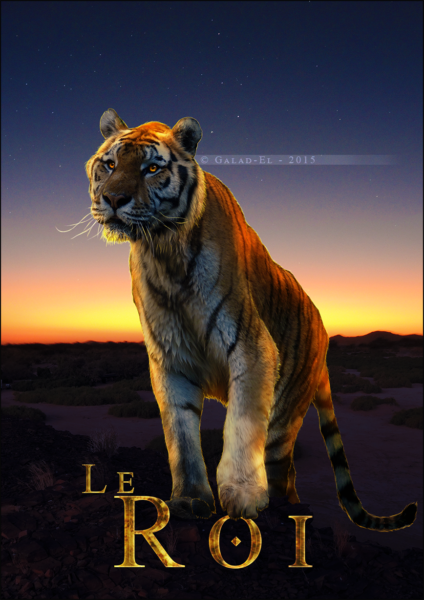 Le Roi, par Galad-El