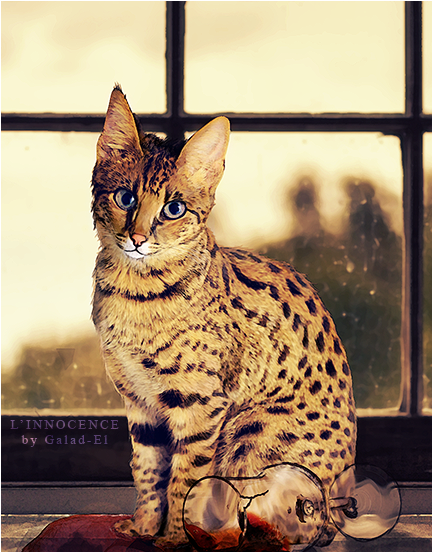 L'innocence, par Galad-El