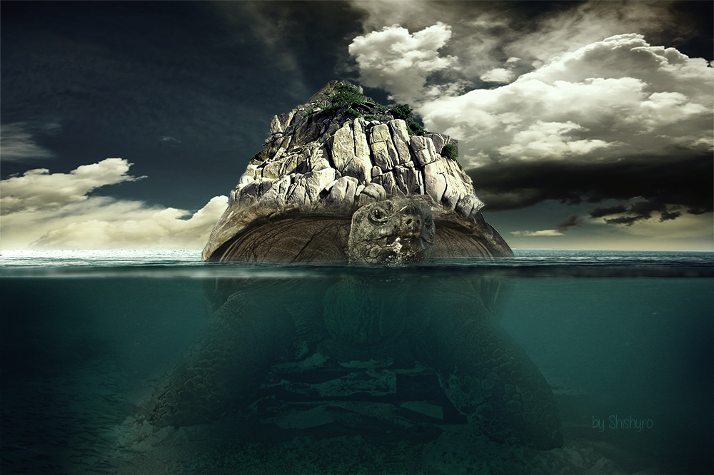 Caroline la Tortue, par Tokyadi