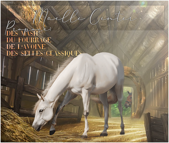 Commande de Maelle, par emily1303