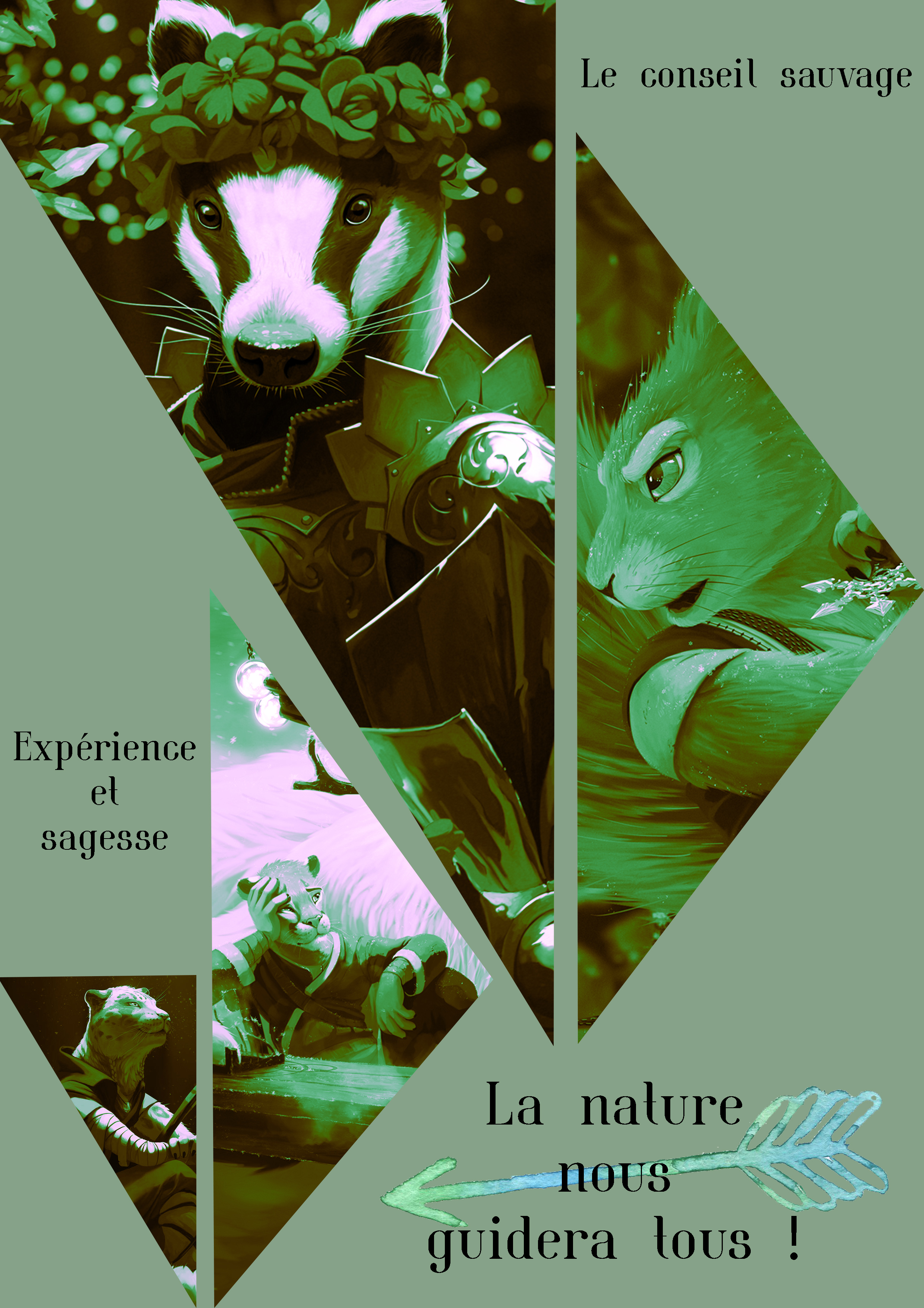 Maquette Conseil Sauvage, par Ayfoth