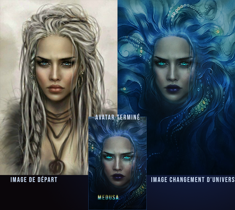 Changement d'univers • Medusa, par Fraisy Sarcasm