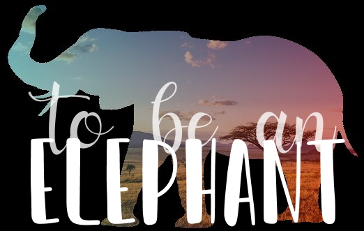 Concours graph', par Invoqueuse