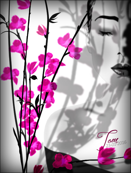 Ombres & lumière, par Tamara