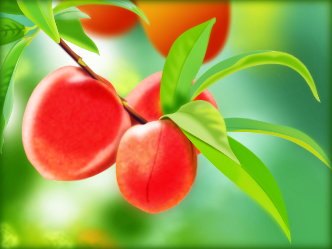 Fruit d"été, par Tamara