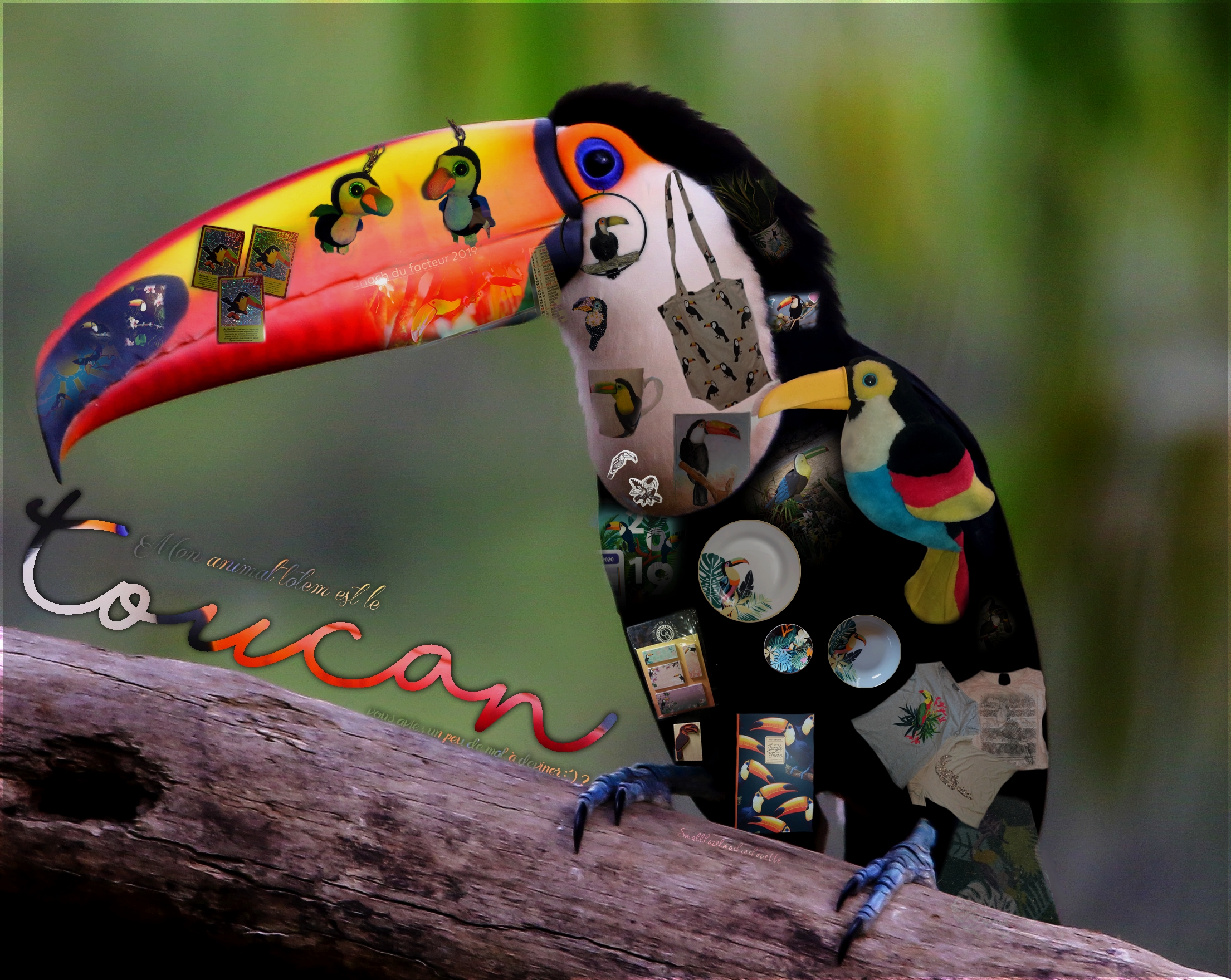 Jamais assez de toucans !!, par Nwaz
