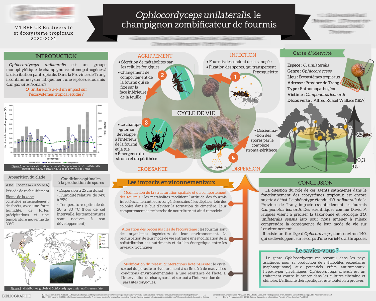 Poster de la mort qui m'a tué, par Lawrage