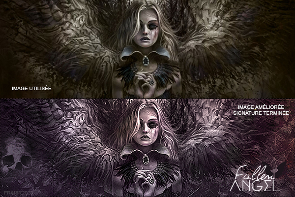 Preview Fallen Angel, par Fraisy Sarcasm