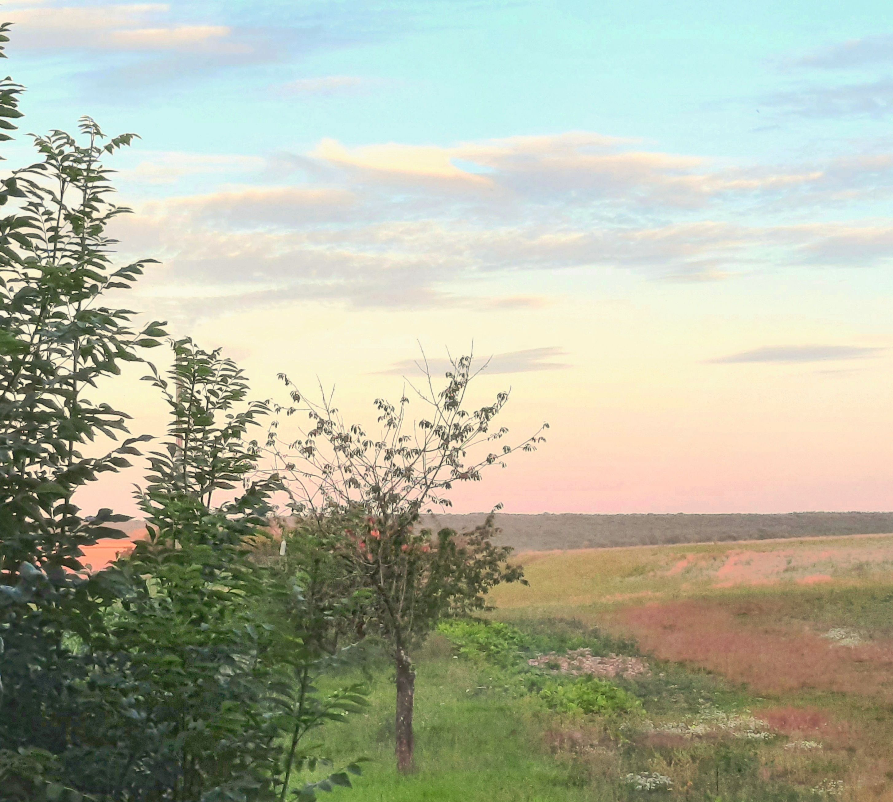 Ciel coloré, par Nekkomi