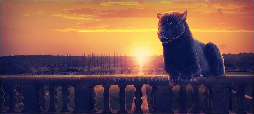 Roi de Chambord, par Galad-El